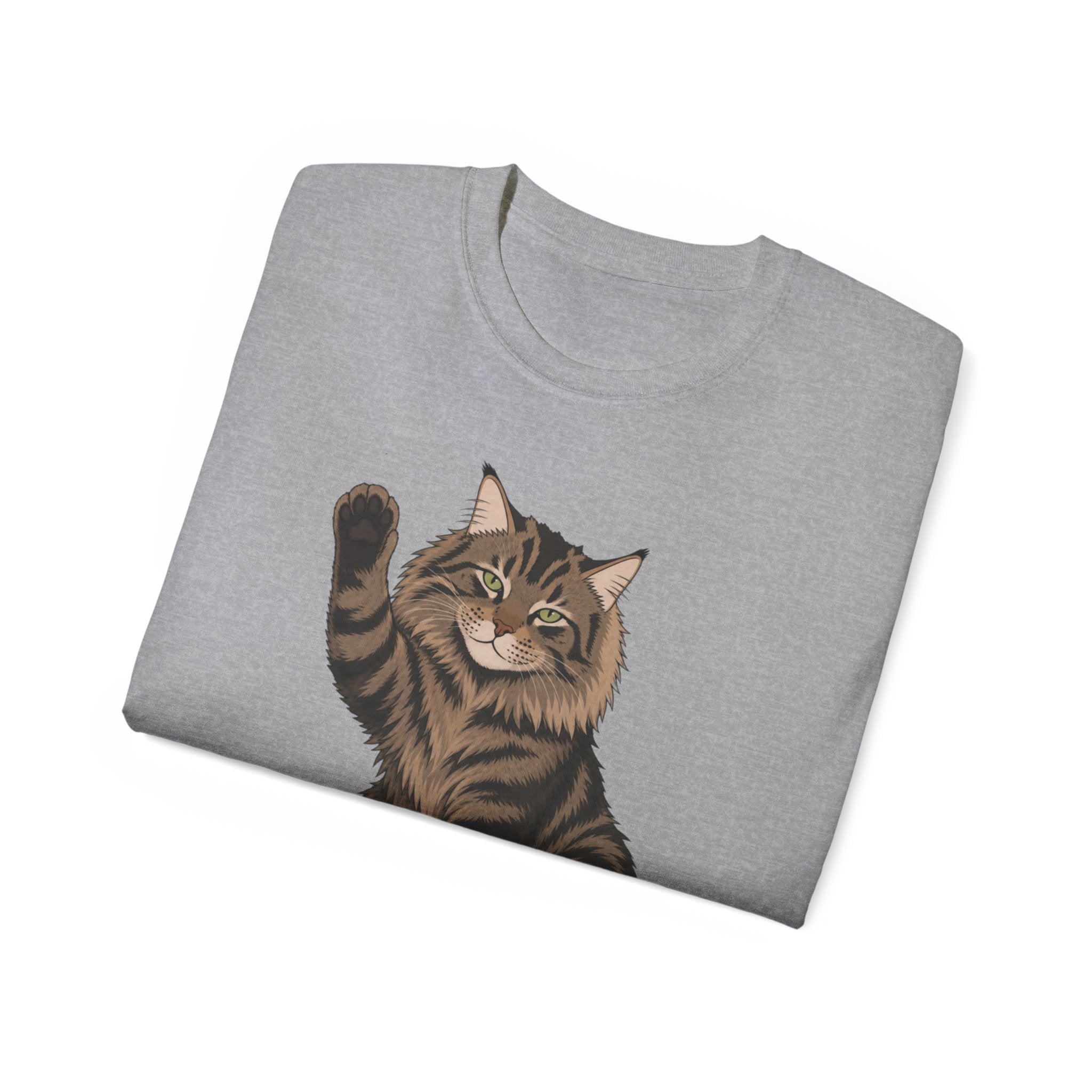 Hello Cat Graphic Tee | Relaxed Fit Tee for Cat Lovers