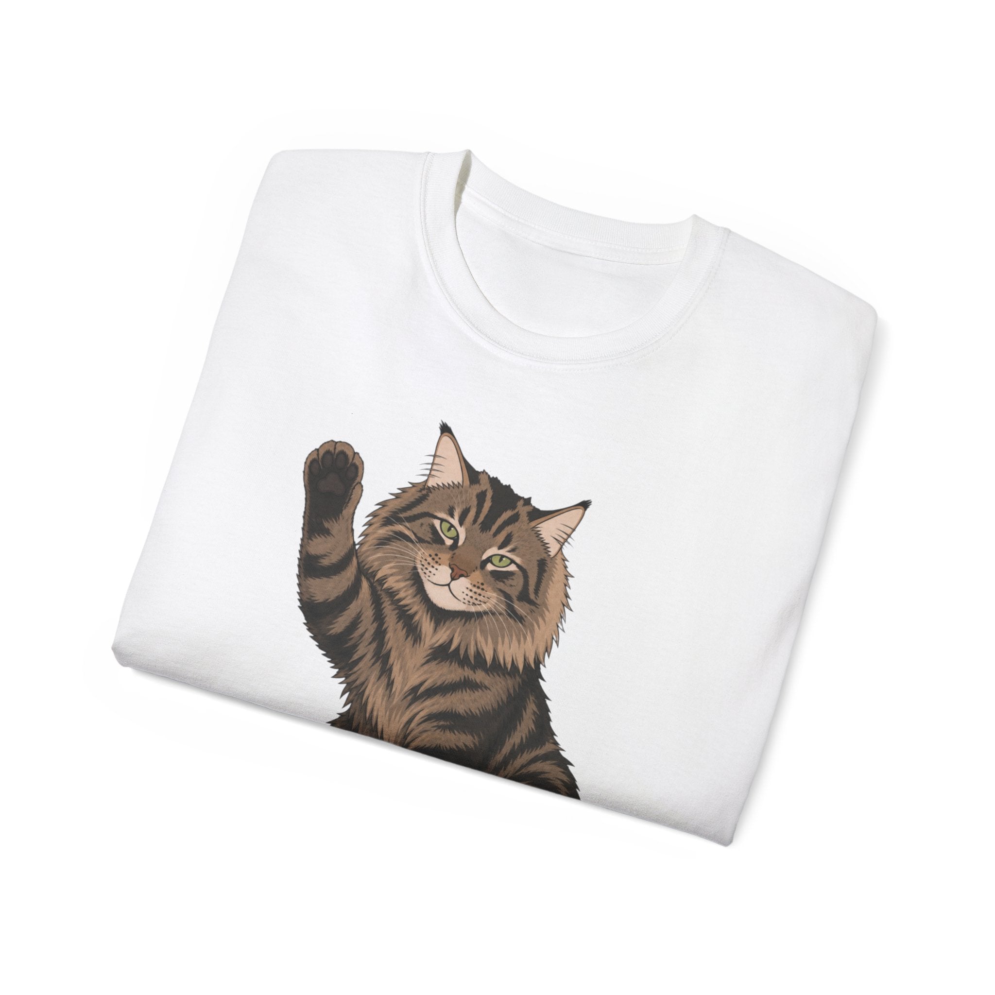 Hello Cat Graphic Tee | Relaxed Fit Tee for Cat Lovers