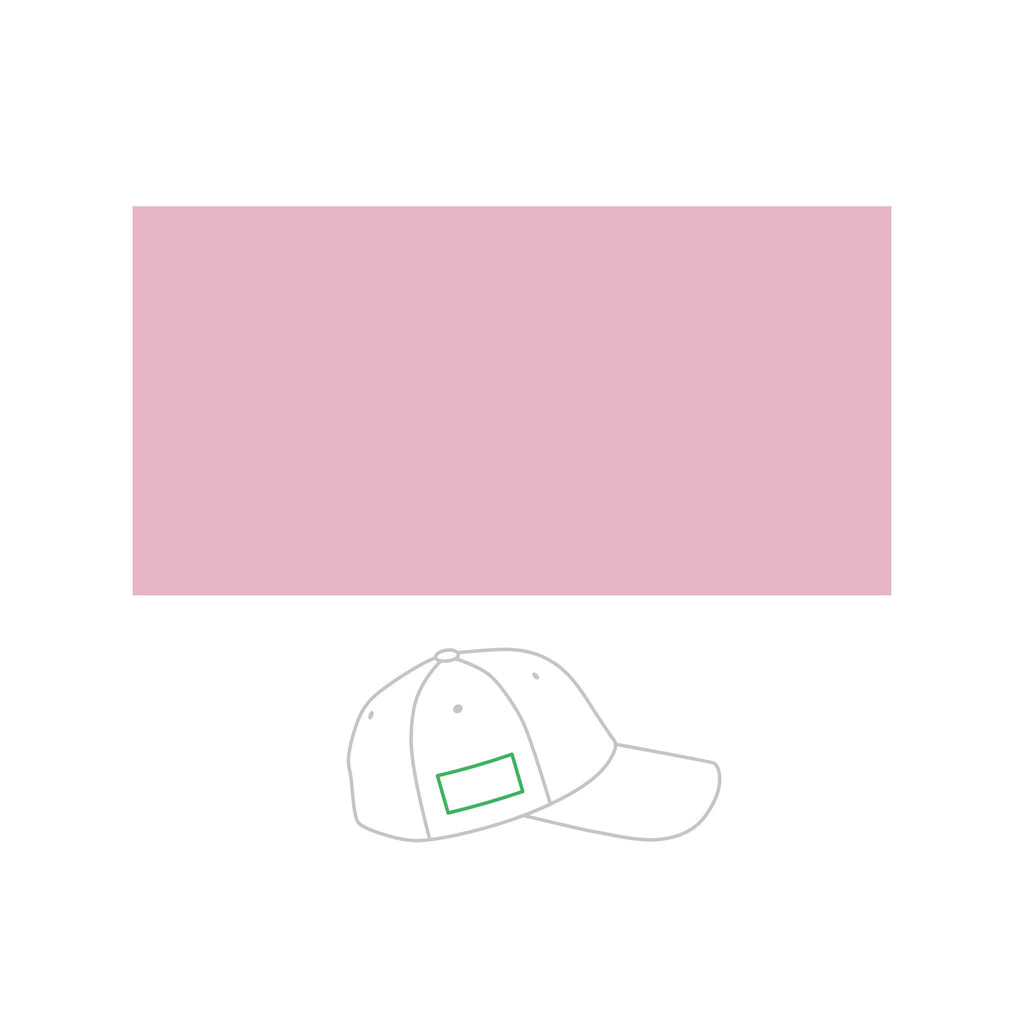 Youth Cap — Pink Embroidered "Recess Riot" Logo with "Move Loud" Back