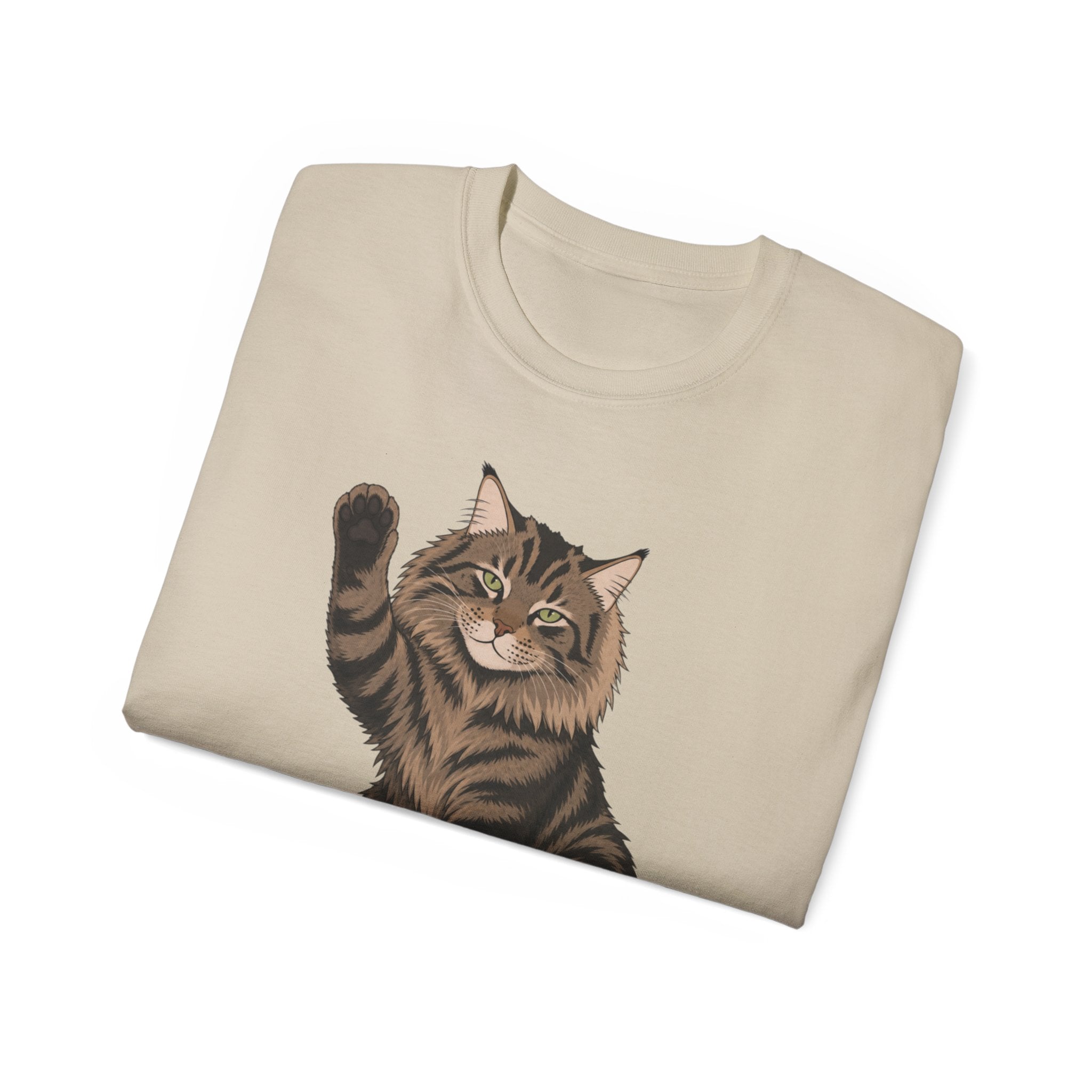 Hello Cat Graphic Tee | Relaxed Fit Tee for Cat Lovers