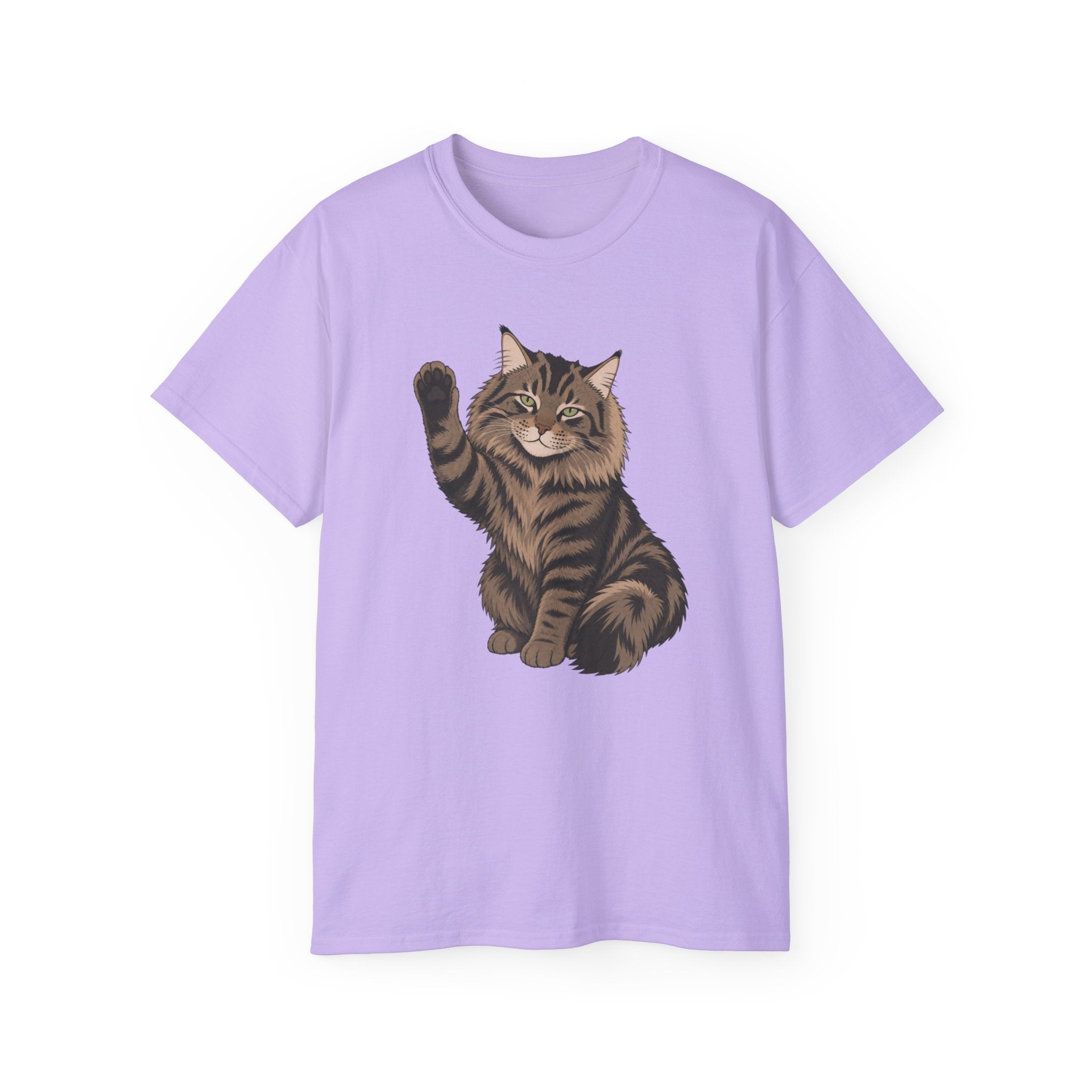 Hello Cat Graphic Tee | Relaxed Fit Tee for Cat Lovers