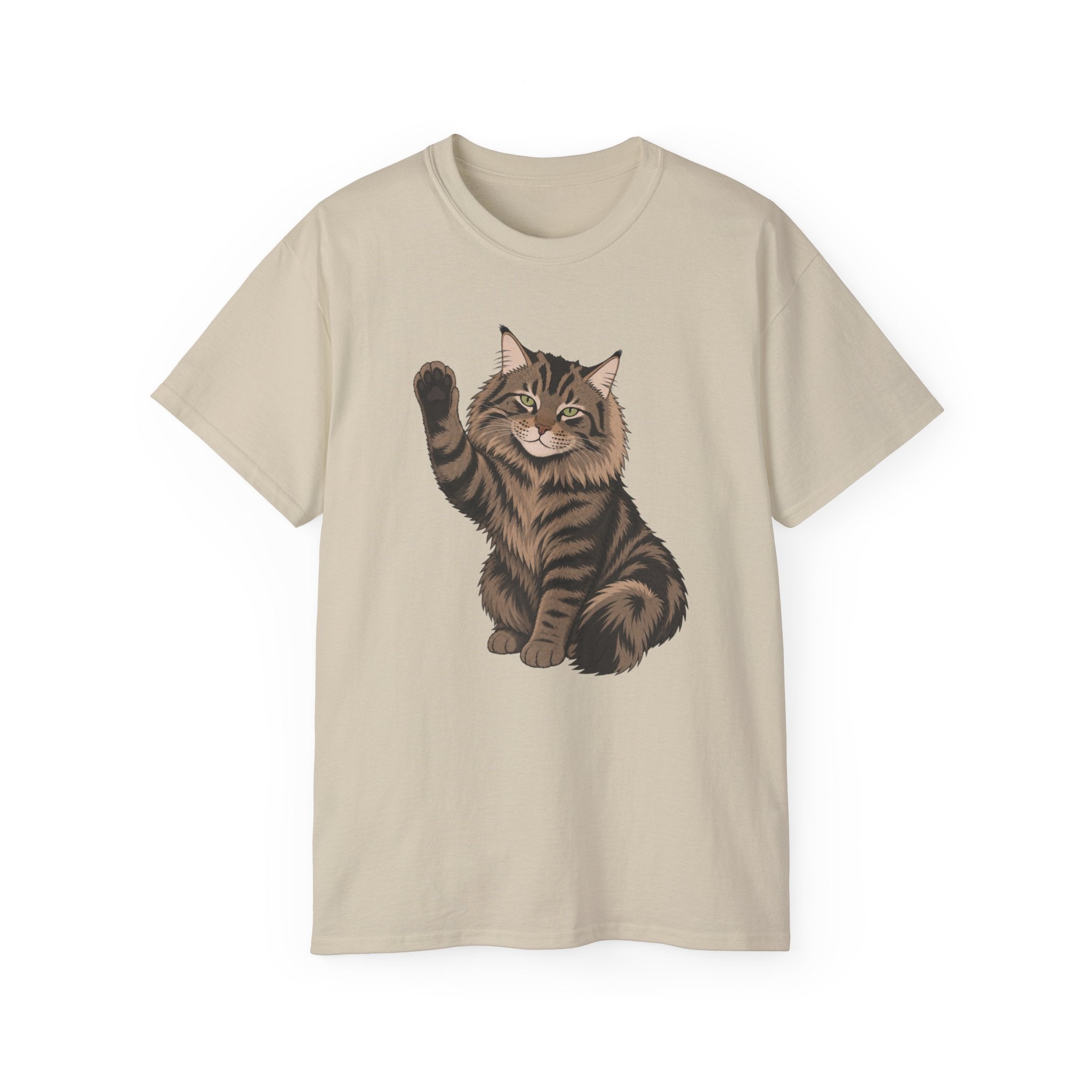 Hello Cat Graphic Tee | Relaxed Fit Tee for Cat Lovers