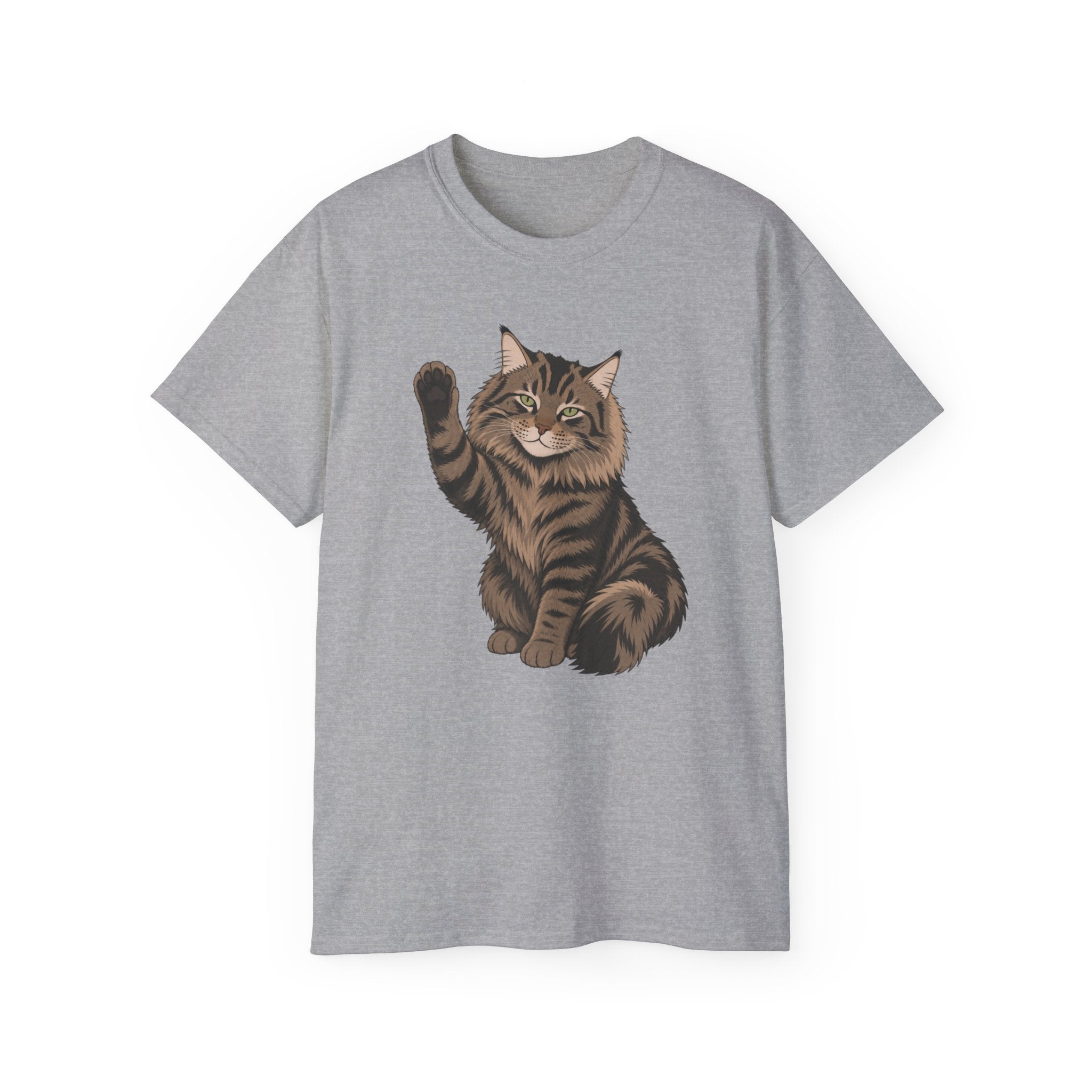 Hello Cat Graphic Tee | Relaxed Fit Tee for Cat Lovers